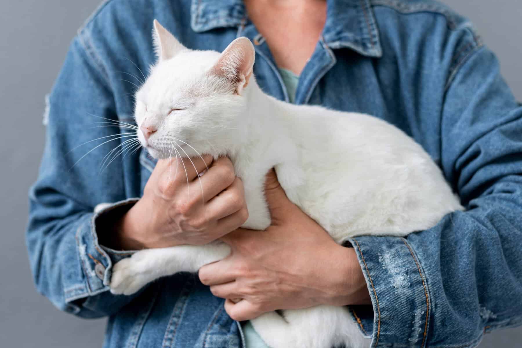 Boala rară care se răspândește în Europa. Medicii au identificat zeci de cazuri la oameni, deși inițial doar animalele erau afectate Boala rară care se răspândește în Europa. Medicii au identificat zeci de cazuri la oameni, deși inițial doar animalele erau afectate