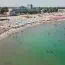 Porția de hamsii care a surprins o turistă în Eforie Nord. Ce a găsit în farfurie: „Se pare că asta-i mâncare de lux”