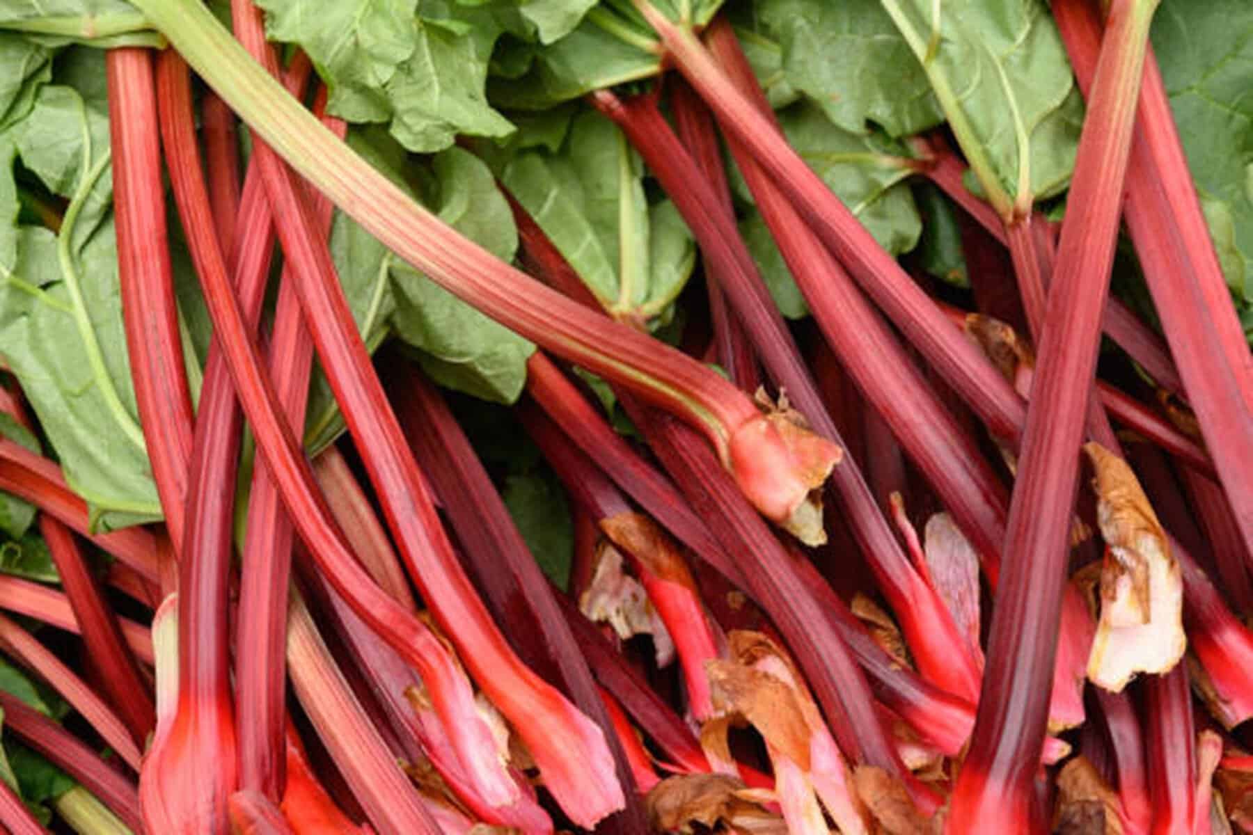 Leguma rar întâlnită pe care un fermier din Olt o cultivă exclusiv pentru piața din Sibiu. Prețul unei legături Leguma rar întâlnită pe care un fermier din Olt o cultivă exclusiv pentru piața din Sibiu. Prețul unei legături