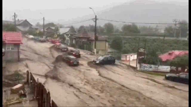 Ploile torențiale au făcut prăpăd la Bușteni. Străzi transformate în râuri, oameni rămași captivi în autoturisme Ploile torențiale au făcut prăpăd la Bușteni. Străzi transformate în râuri, oameni rămași captivi în autoturisme