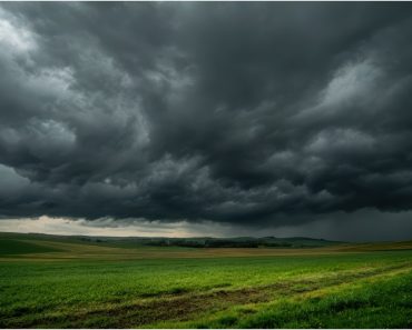 Cod galben de furtuni și vijelii în jumătate de țară. Ce regiuni vizează avertizarea ANM Cod galben de furtuni și vijelii în jumătate de țară. Ce regiuni vizează avertizarea ANM