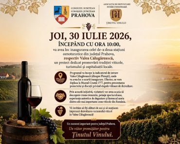 Consiliul Județean Prahova transformă Valea Călugărească într-un nou pol al turismului viticol