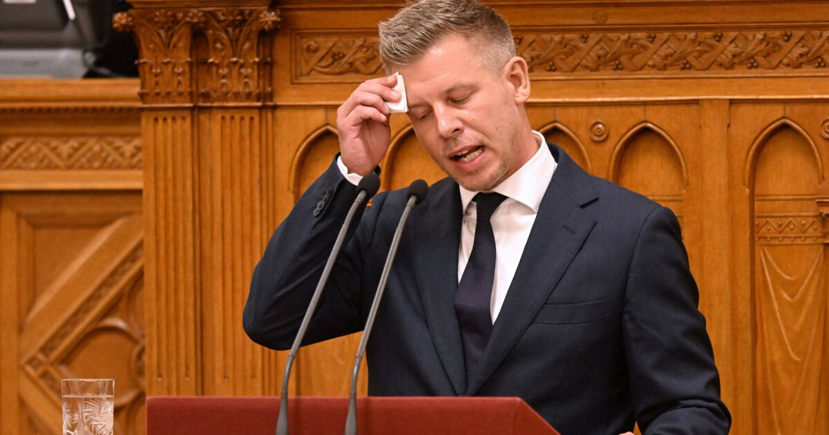 „Luna de miere” a lui Peter Magyar s-a încheiat. „Afacerea Judit Polgar” a dus la scăderea sprijinului pentru premierul ungar și Tisza