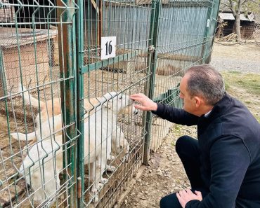 Consiliul Județean Prahova alocă încă un milion de lei pentru noul adăpost de câini din Ploiești. „Am promis, iar pentru mine, cuvântul dat are valoare!”