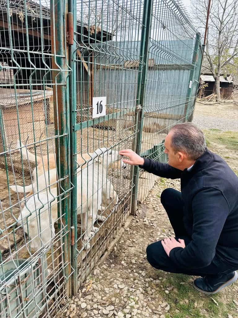 Consiliul Județean Prahova alocă încă un milion de lei pentru noul adăpost de câini din Ploiești. „Am promis, iar pentru mine, cuvântul dat are valoare!”