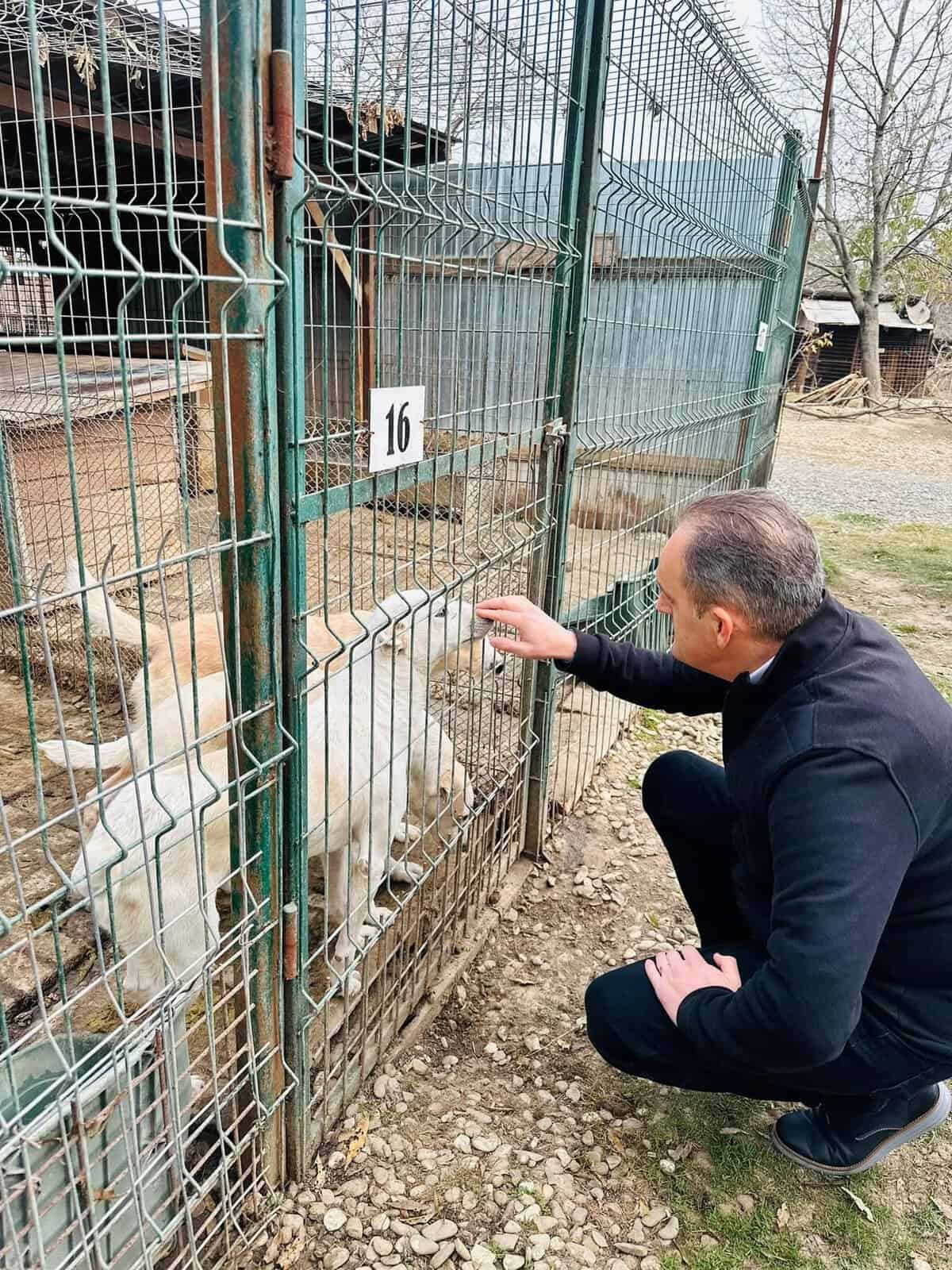Consiliul Județean Prahova alocă încă un milion de lei pentru noul adăpost de câini din Ploiești. „Am promis, iar pentru mine, cuvântul dat are valoare!”