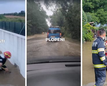 VIDEO: Inundații în Prahova. Raport: Situația zonelor afectate VIDEO: Inundații în Prahova. Raport: Situația zonelor afectate