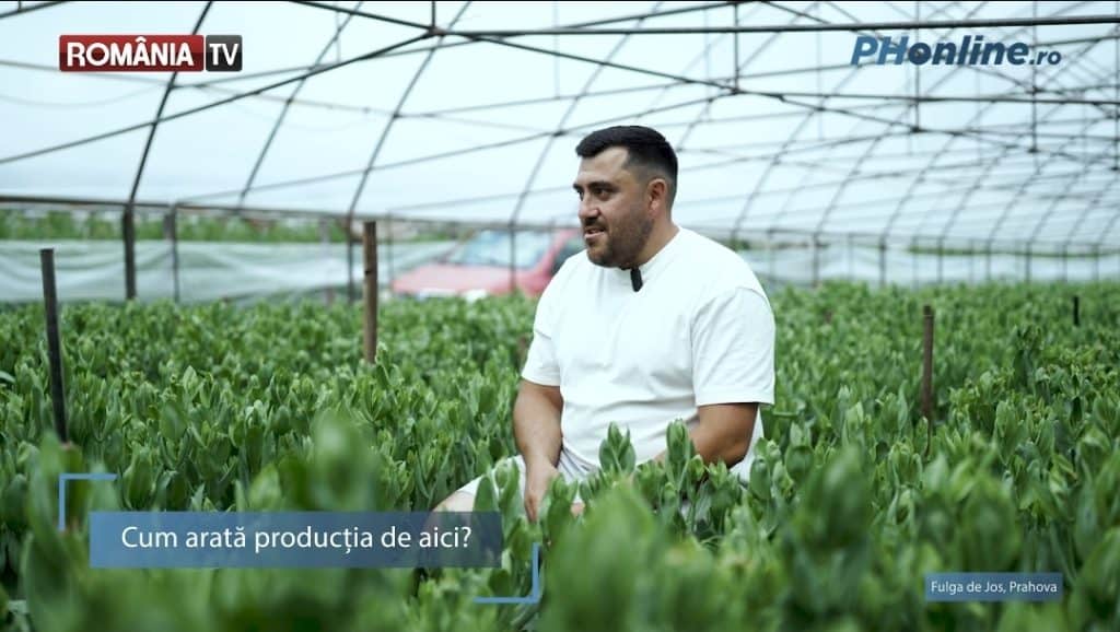 George Pufulete, floristul din Prahova care a creat aranjamente florale pentru Dorian Popa și Andreea Bălan