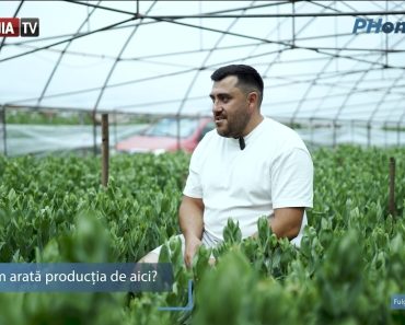 George Pufulete, floristul din Prahova care a creat aranjamente florale pentru Dorian Popa și Andreea Bălan George Pufulete, floristul din Prahova care a creat aranjamente florale pentru Dorian Popa și Andreea Bălan