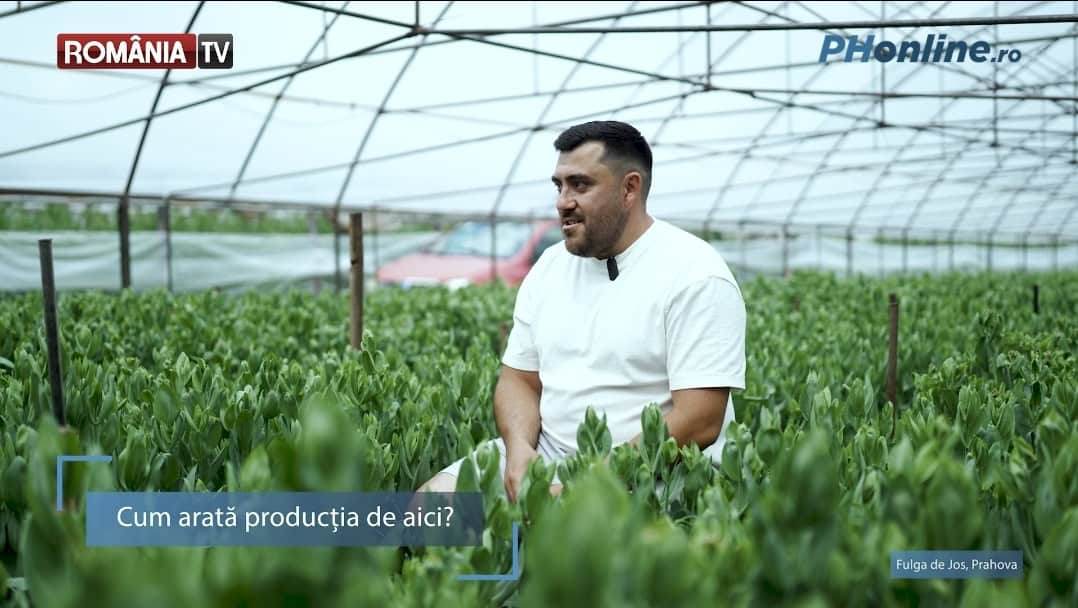 George Pufulete, floristul din Prahova care a creat aranjamente florale pentru Dorian Popa și Andreea Bălan George Pufulete, floristul din Prahova care a creat aranjamente florale pentru Dorian Popa și Andreea Bălan