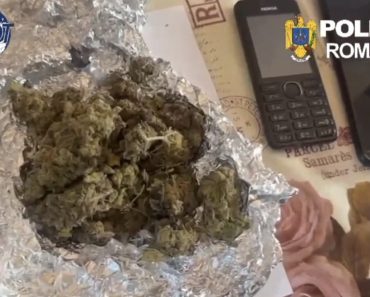 DIICOT Ploiești a prins în flagrant delict doi traficanți de droguri. Marfa era vândută în Prahova și în Capitală DIICOT Ploiești a prins în flagrant delict doi traficanți de droguri. Marfa era vândută în Prahova și în Capitală