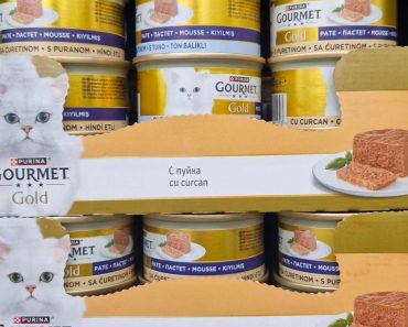 La Cocoș: Răsfață-ți pisica cu produse alese special pentru ea! La Cocoș: Răsfață-ți pisica cu produse alese special pentru ea!