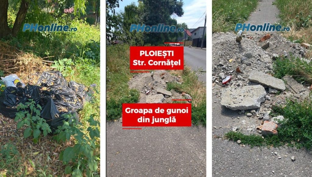 VIDEO: Alo, Primăria Ploiești? S-a făcut groapă de gunoi în jungla Dâmbu!