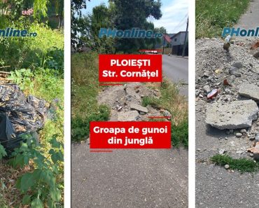 VIDEO: Alo, Primăria Ploiești? S-a făcut groapă de gunoi în jungla Dâmbu! VIDEO: Alo, Primăria Ploiești? S-a făcut groapă de gunoi în jungla Dâmbu!