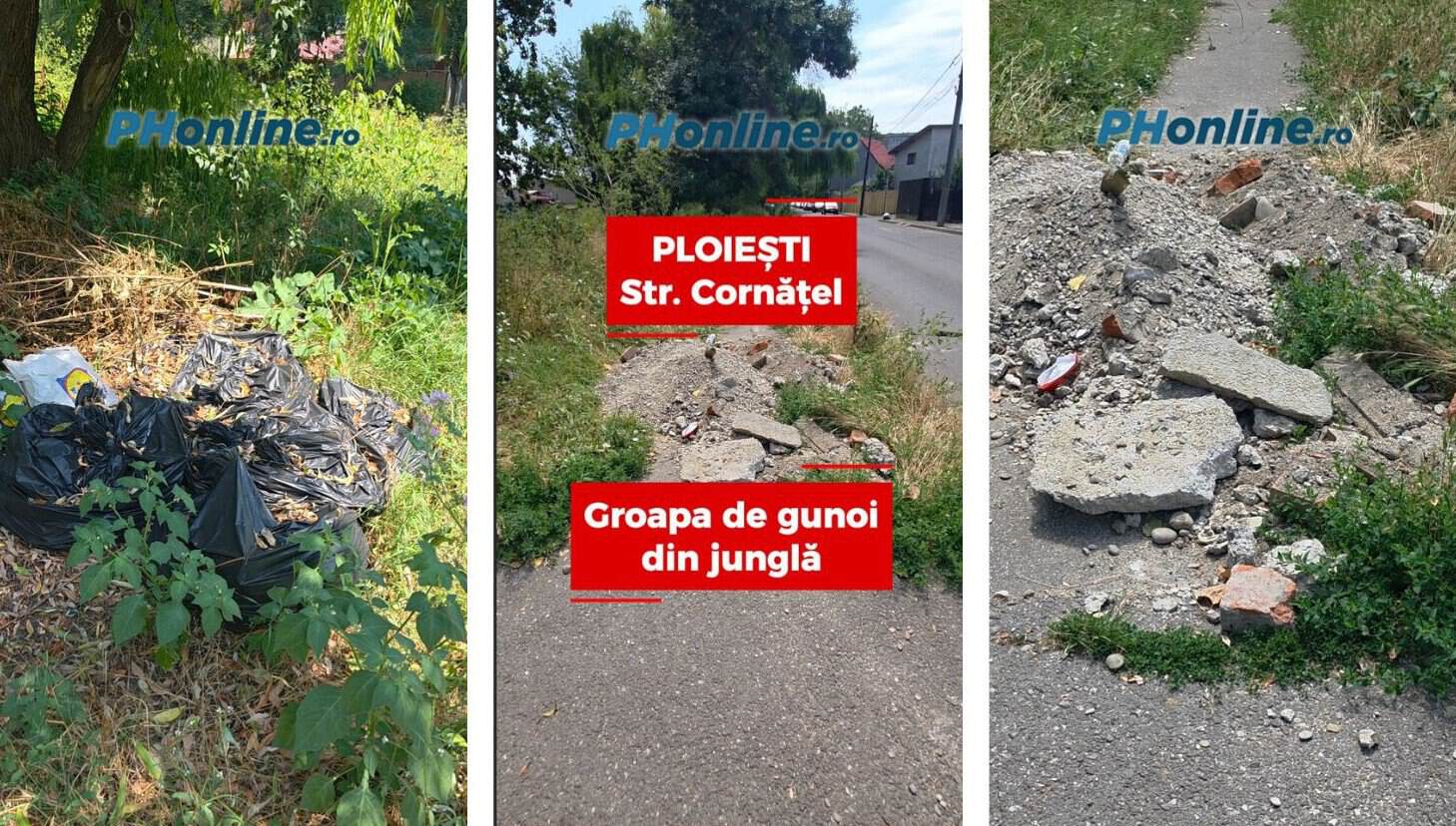 VIDEO: Alo, Primăria Ploiești? S-a făcut groapă de gunoi în jungla Dâmbu!