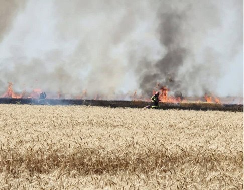 VIDEO: Lan de grâu în flăcări la Mizil. Avertismentul pompierilor prahoveni