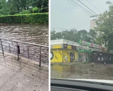 VIDEO: În Ploiești, cu barca! Ruperea de nori a inundat zona Nord VIDEO: În Ploiești, cu barca! Ruperea de nori a inundat zona Nord