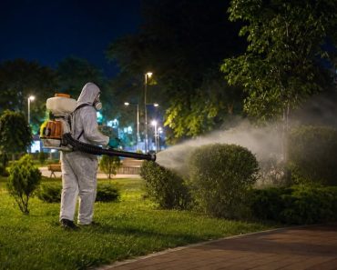 Primăria Mizil: ANUNȚ DE INTERES PUBLIC – ACȚIUNE DE DEZINSECȚIE Primăria Mizil: ANUNȚ DE INTERES PUBLIC – ACȚIUNE DE DEZINSECȚIE