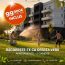 MRS Residence: Profită de oferta verii la MRS Residence Country și alege un apartament cu 2 camere de la 99.900€ (TVA inclus)