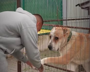Sami G în vizită la Clinica Independent pentru a descoperi facilitățile