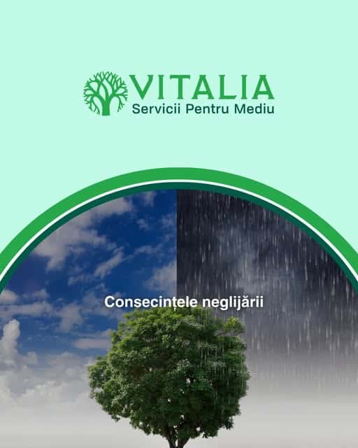Vitalia Mediu: Ce se întâmplă dacă ignorăm semnalele de alarmă?