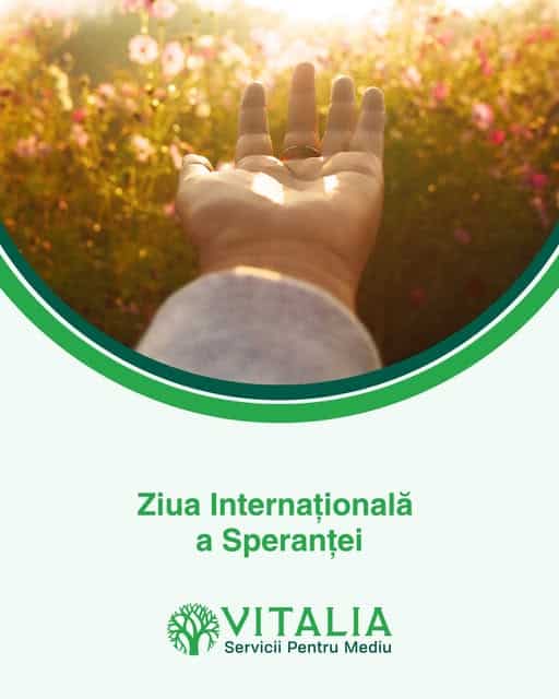 Vitalia Mediu: Speranța nu e doar un sentiment — e o alegere zilnică Vitalia Mediu: Speranța nu e doar un sentiment — e o alegere zilnică