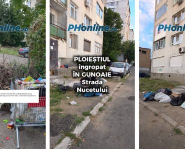 VIDEO: Ploieștenii din Cina, revoltați din cauza gunoaielor: Este cel mai murdar oraș pe care l-am văzut! VIDEO: Ploieștenii din Cina, revoltați din cauza gunoaielor: Este cel mai murdar oraș pe care l-am văzut!