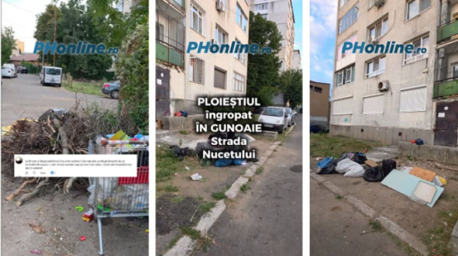 VIDEO: Ploieștenii din Cina, revoltați din cauza gunoaielor: Este cel mai murdar oraș pe care l-am văzut! VIDEO: Ploieștenii din Cina, revoltați din cauza gunoaielor: Este cel mai murdar oraș pe care l-am văzut!