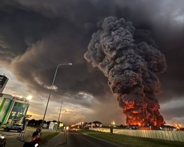 Teoria Wildberries a înfrângerii Rusiei: Distrugerea „Amazonului rusesc”, mai devastatoare pentru Putin decât bombardarea rafinăriilor