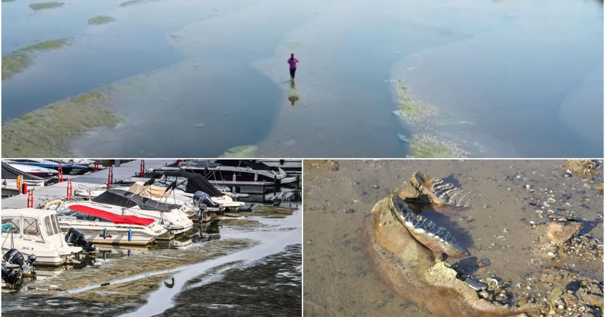 „Putem merge pe jos până în România”. Dunărea și Rinul seacă sub caniculă: reactoare oprite, nave blocate și epave descoperite