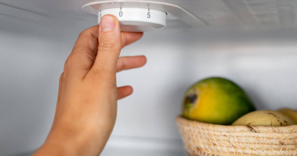 La câte grade trebuie setat frigiderul. Temperatura care păstrează alimentele în siguranță și poate reduce consumul de energie