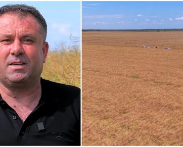 Un fermier a dat lovitura în Israel cu o legumă cultivată și în România. Ce se vinde însă în supermarketurile de la noi