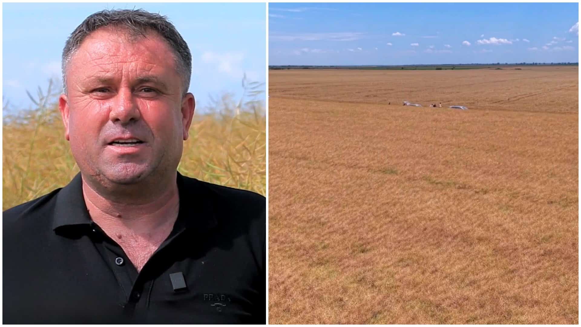 Un fermier a dat lovitura în Israel cu o legumă cultivată și în România. Ce se vinde însă în supermarketurile de la noi Un fermier a dat lovitura în Israel cu o legumă cultivată și în România. Ce se vinde însă în supermarketurile de la noi