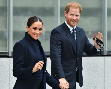 Meghan Markle și Prințul Harry au ajuns de râsul lumii! Documentarul lor, întrecut la box office de filmulețele cu pisici!