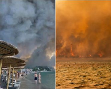 Clipe de groază în Halkidiki. Turiști evacuați pe mare pentru a scăpa din calea flăcărilor