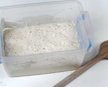Ingredientul uitat din bucătăria bunicilor cucerește o nouă generație. De ce tinerii îl îngrijesc ca pe un animal de companie Ingredientul uitat din bucătăria bunicilor cucerește o nouă generație. De ce tinerii îl îngrijesc ca pe un animal de companie