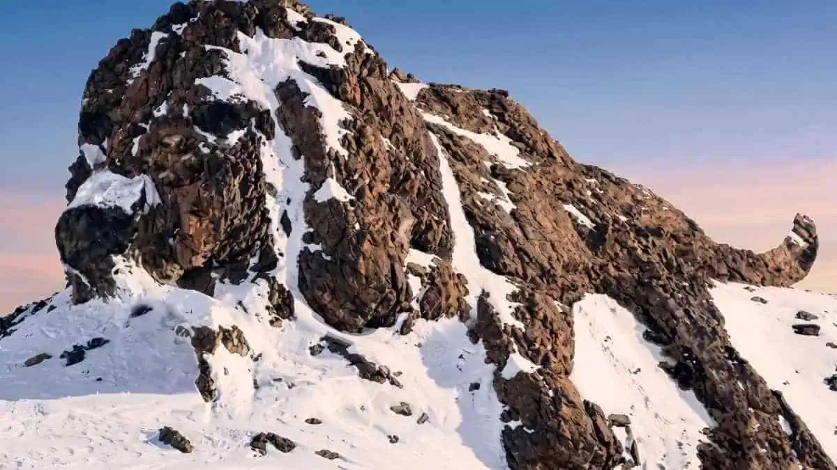 Câinele sau muntele? Testul care spune ce ascunzi în suflet. Răspunsul te poate surprinde