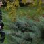 Nicușor Dan a fost surprins, alături de Mirabela Grădinaru, la slujba de Adormirea Maicii Domnului în zona Munților Făgăraș