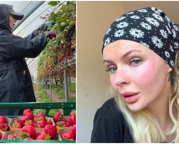 Câți bani a câștigat o influenceriță poloneză la cules de căpșuni în Germania. A muncit 33 de zile