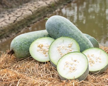 Fructul exotic de 20 de kilograme cultivat și în România. Rezistă un an în cămară și este crocant ca morcovul