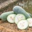 Fructul exotic de 20 de kilograme cultivat și în România. Rezistă un an în cămară și este crocant ca morcovul