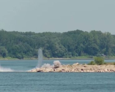 Comisia Europeană confirmă că organizaţia de mediu WWF a depus o sesizare referitoare la proiectul planificat pe braţul Bala al Dunării