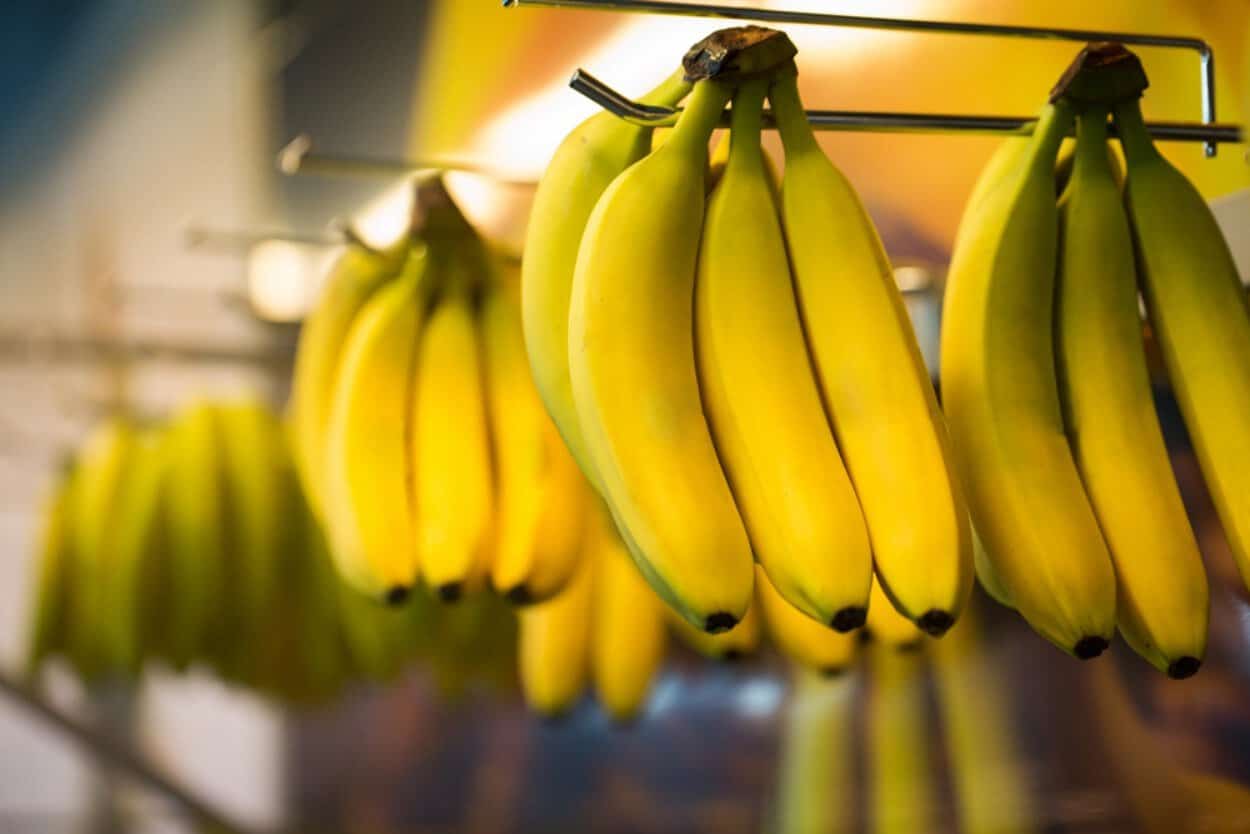 Nu cumpăra banane înainte să verifici aceste detalii. Semnele care arată că nu mai sunt proaspete Nu cumpăra banane înainte să verifici aceste detalii. Semnele care arată că nu mai sunt proaspete