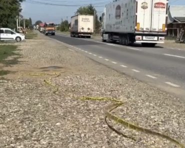 Tragedie în Neamț! O tânără de 22 de ani, studentă la Drept, ucisă de fostul iubit. Atacul a fost surprins de o cameră de supraveghere Tragedie în Neamț! O tânără de 22 de ani, studentă la Drept, ucisă de fostul iubit. Atacul a fost surprins de o cameră de supraveghere