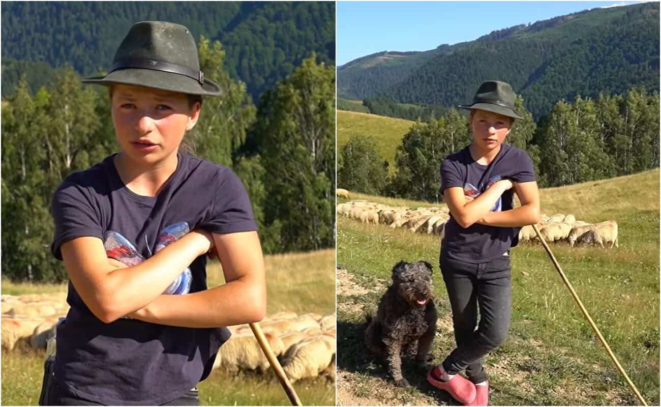 O fetiță din munții de lângă Șugag i-a impresionat pe români. Cât de grea este viața micuței care se ocupă de oi și mulge vacile O fetiță din munții de lângă Șugag i-a impresionat pe români. Cât de grea este viața micuței care se ocupă de oi și mulge vacile