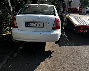 ATENȚIE! SGU ridică mașinile parcate lângă copacii care urmează să fie doborâți ATENȚIE! SGU ridică mașinile parcate lângă copacii care urmează să fie doborâți