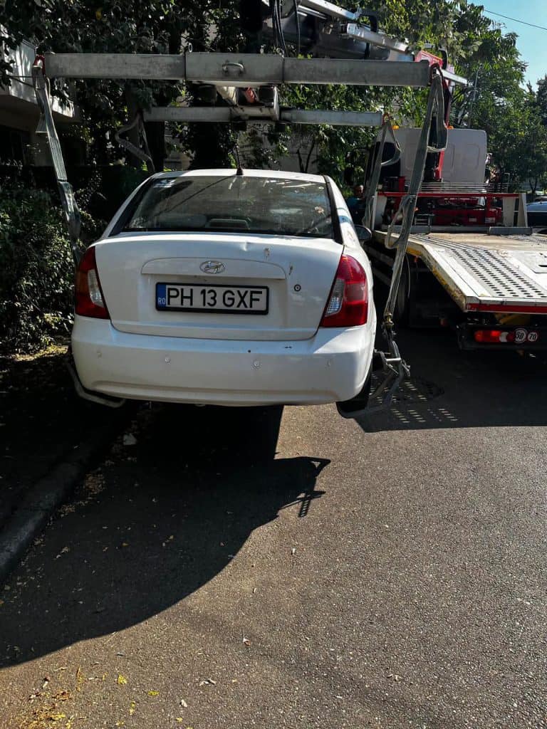 ATENȚIE! SGU ridică mașinile parcate lângă copacii care urmează să fie doborâți
