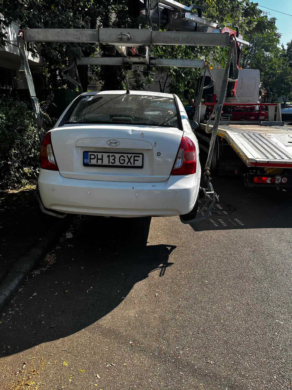 ATENȚIE! SGU ridică mașinile parcate lângă copacii care urmează să fie doborâți ATENȚIE! SGU ridică mașinile parcate lângă copacii care urmează să fie doborâți