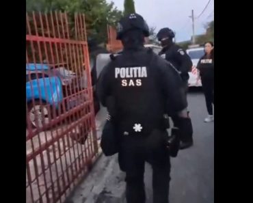 VIDEO: Doi proxeneți din Câmpina au fost săltați de mascați și arestați
