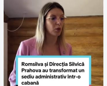 Circ politic pe banii publici: Fostul ministru demis Diana Buzoianu «scotocește» după nereguli închipuite în Prahova